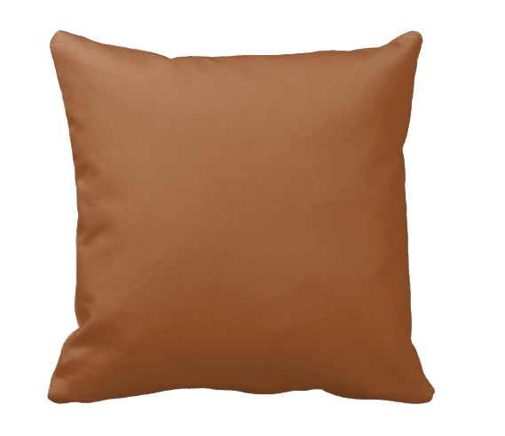 Cleveland USA Pillow - Shirley's Loft - 2